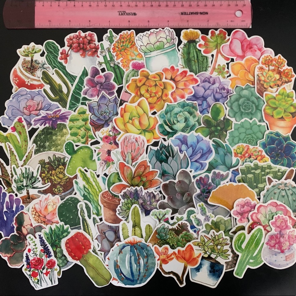BOGO 50% OFF! 5 Succulent & Cactus Stickers